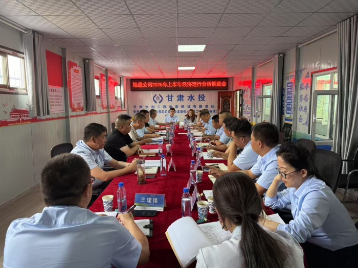 公司召开2025年上半年经济运行分析调度会议